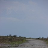 134 ARARAT